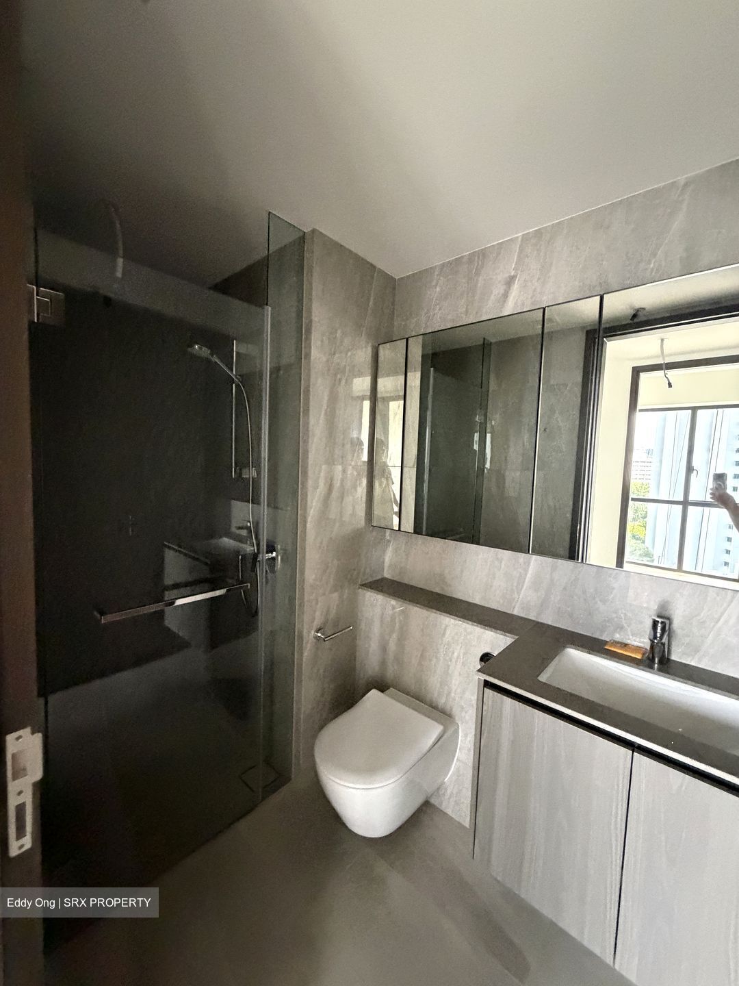 Piccadilly Grand (D8), Apartment #543909361